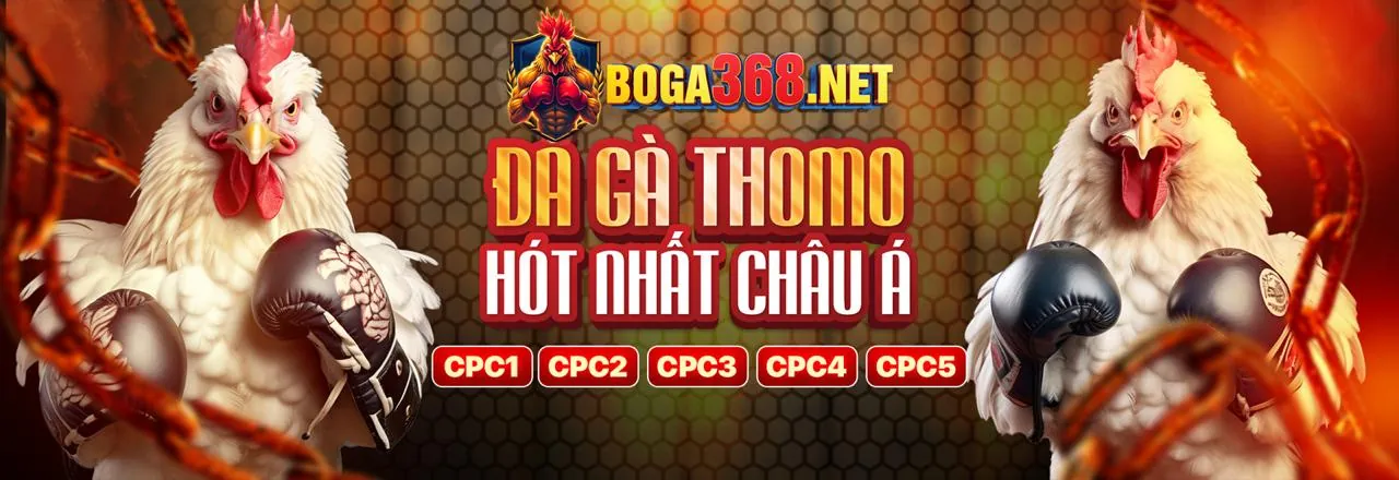 Hướng dẫn xem đá gà trực tiếp