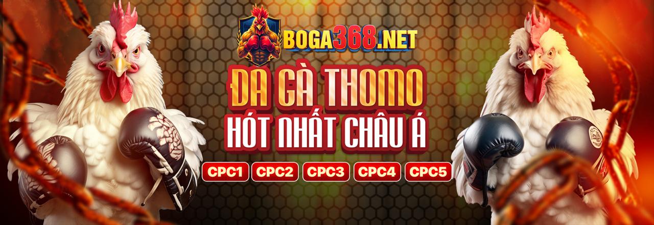 Đa dạng kèo cược đá gà