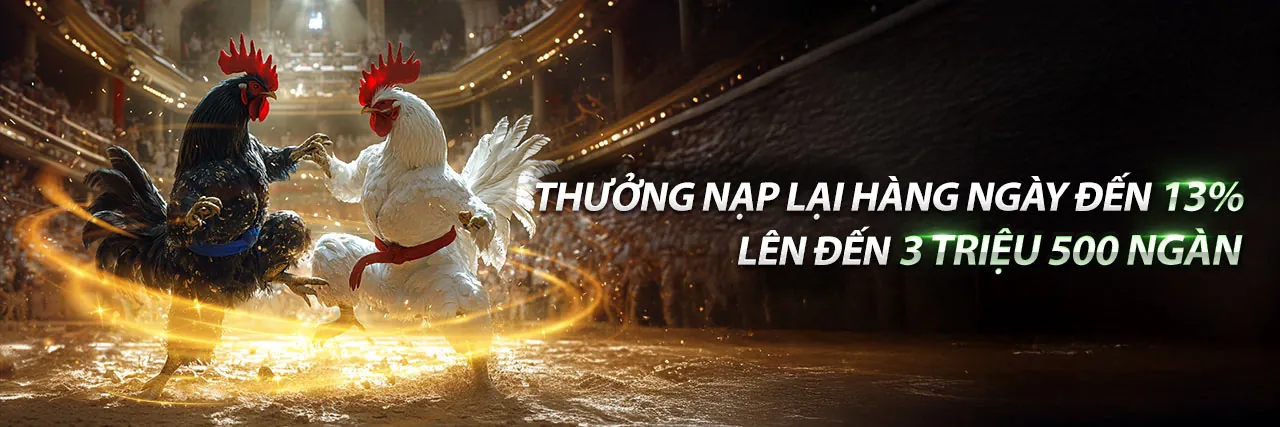 Hình ảnh chính trực tiếp đá gà