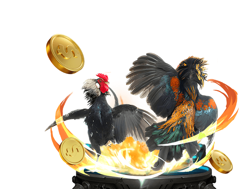 Đá gà cựa sắt