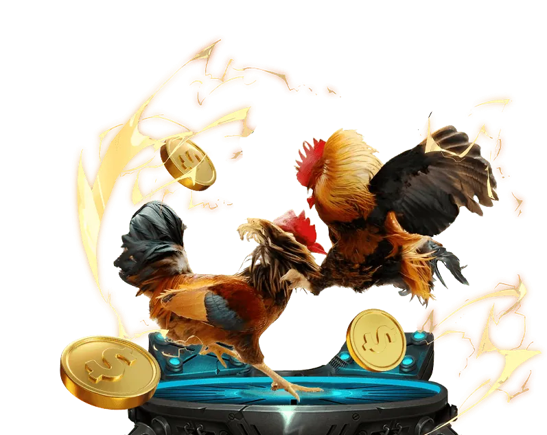 Cá cược Đá gà Trực tuyến tại Đá Gà 68